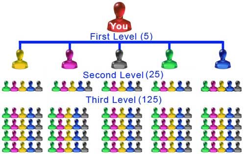 MLM software dashboard